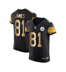 Men's Pittsburgh Steelers #81 Jesse James Elite Black Gold Team Color Football Jersey