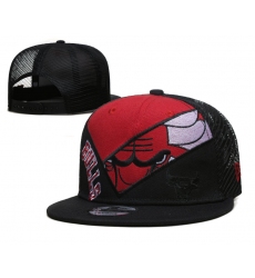 NBA Chicago Bulls Hats-944