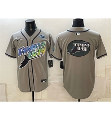 Men's Tampa Bay Rays Team Big Logo Gray 2026 AL East Champions Vapor Limited Stitched Baseball Jersey